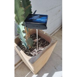 Affordable Vibrational...