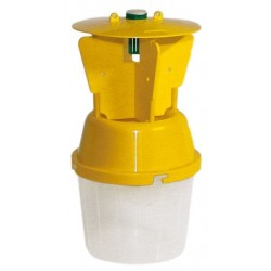 E-funnel trap for coleoptera